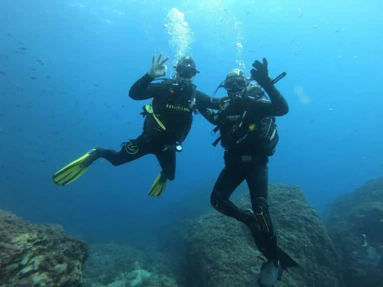 Calypso Diving — photo 3