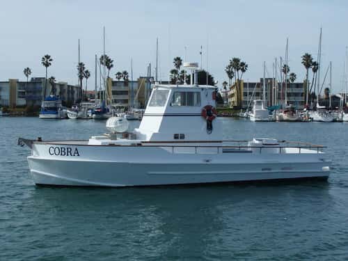 Channel Islands Sportfishing — photo 1