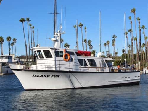Channel Islands Sportfishing — photo 5