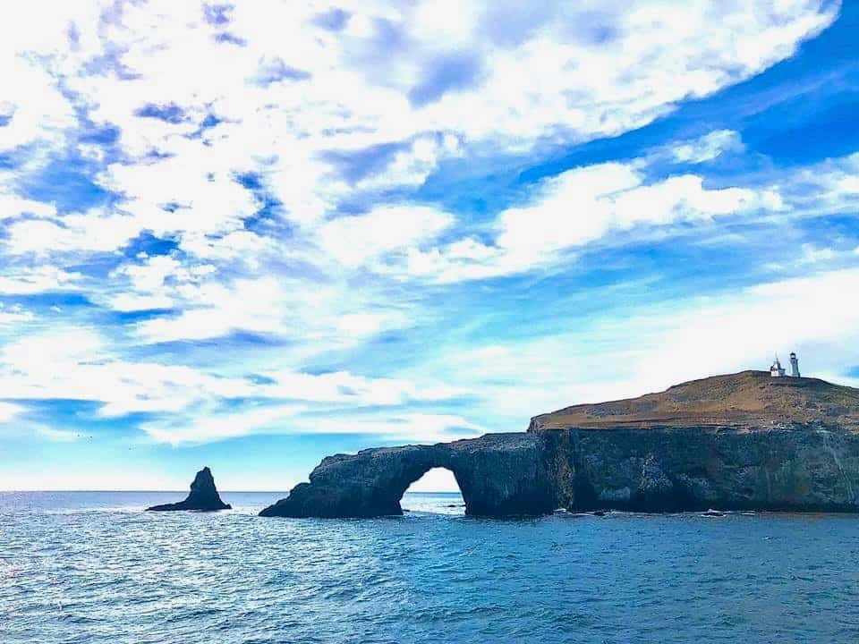 Channel Islands Sportfishing — photo 4