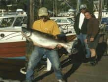 Charthouse Sportfishing — photo 2