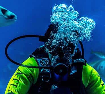 Coral Diving Crete