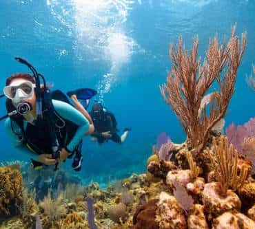 Coral Diving Crete — photo 2