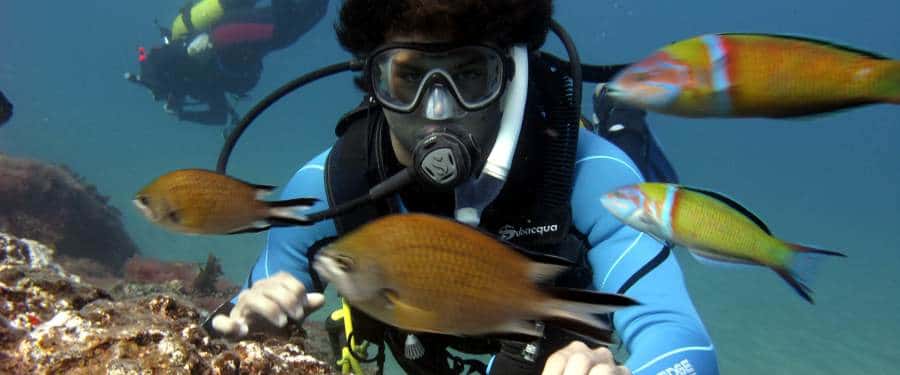 Davy Jones Diving
