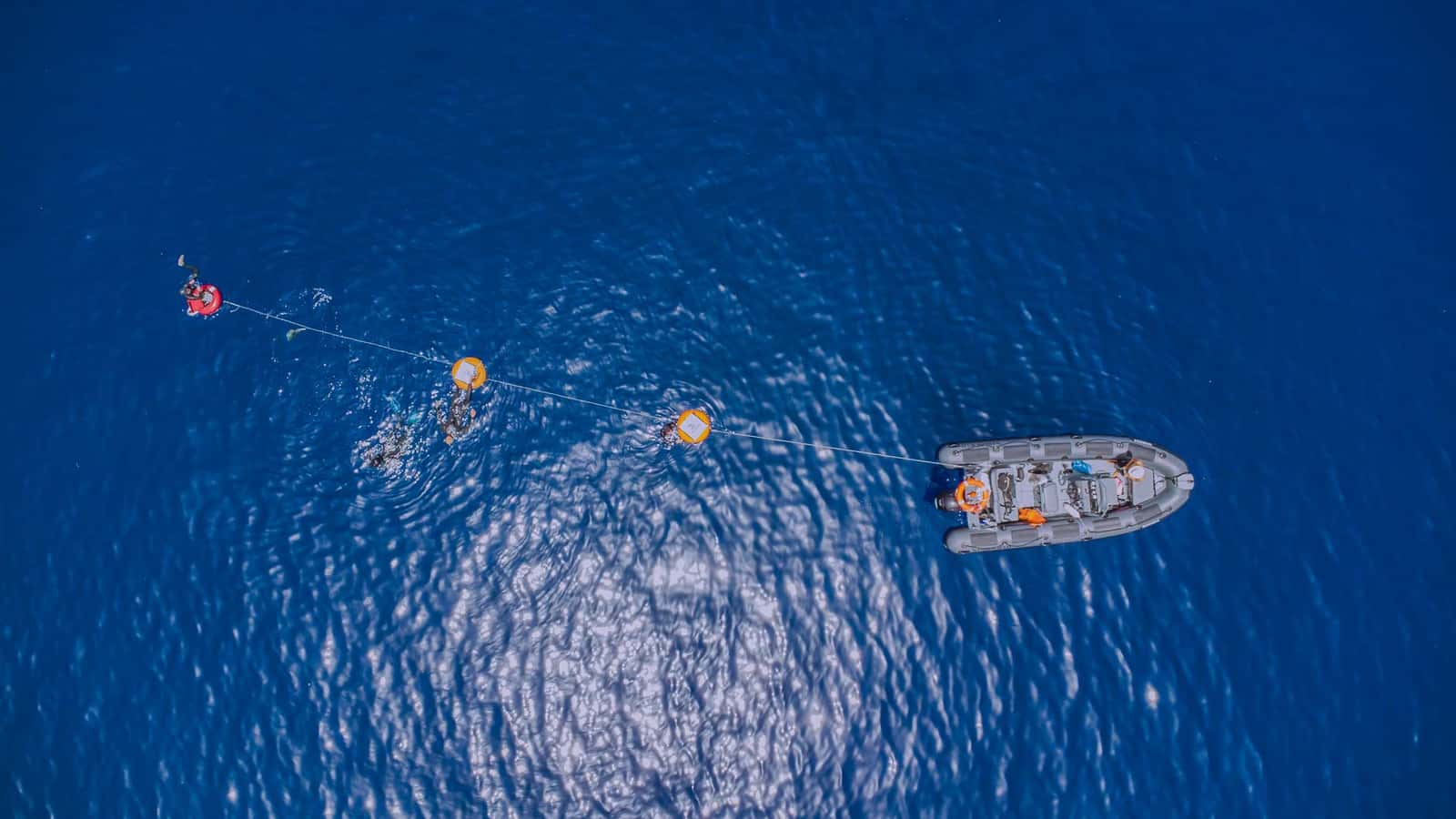 Deep Med — photo 2