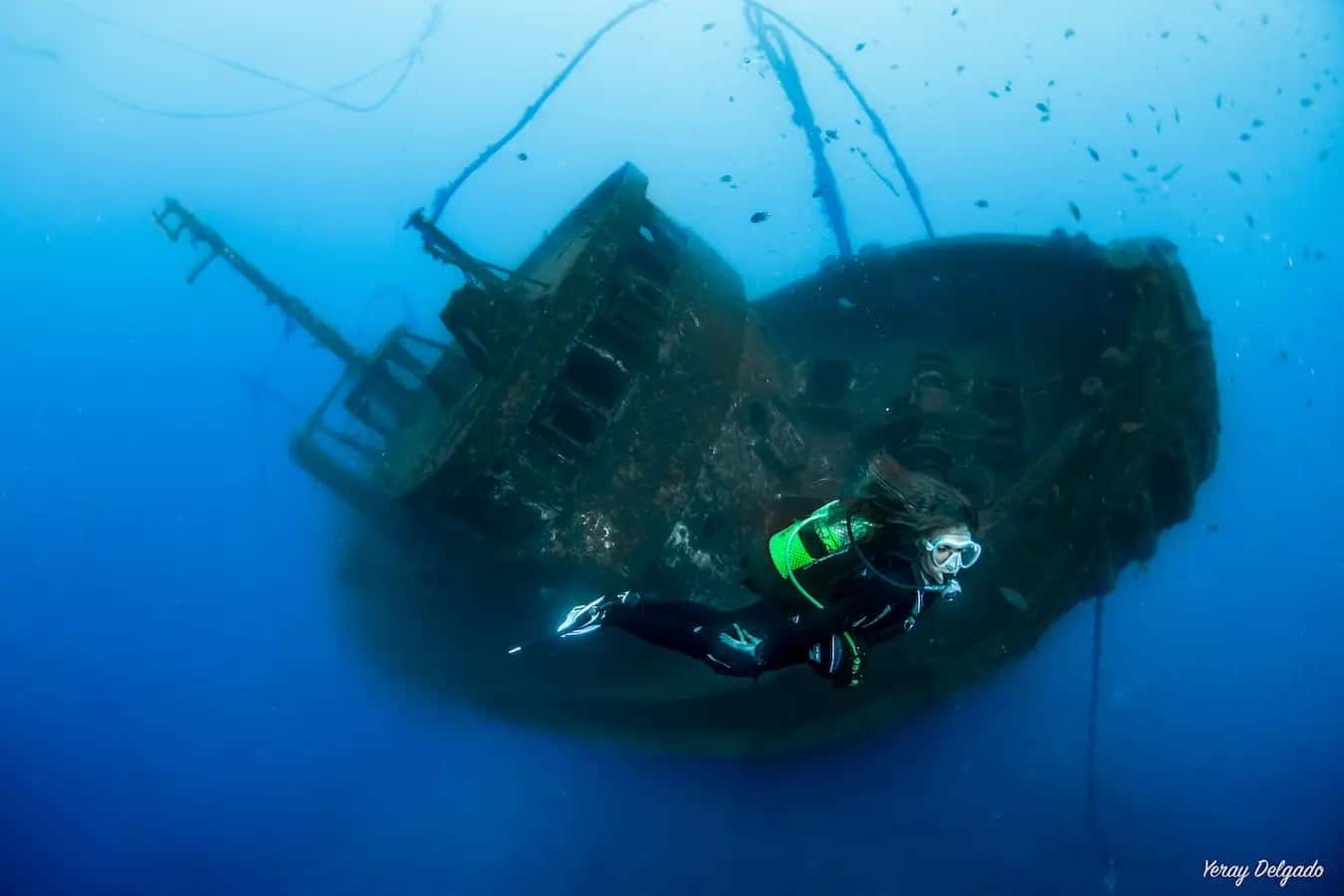Deep Ocean Diver