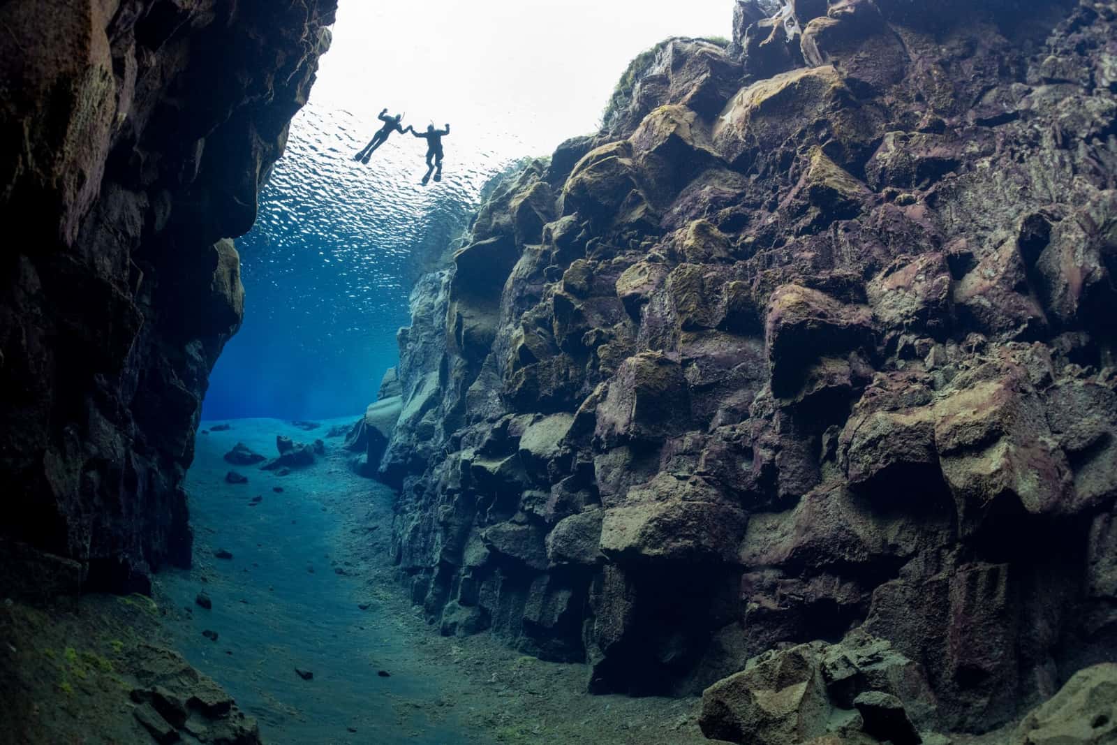 DIVE.IS