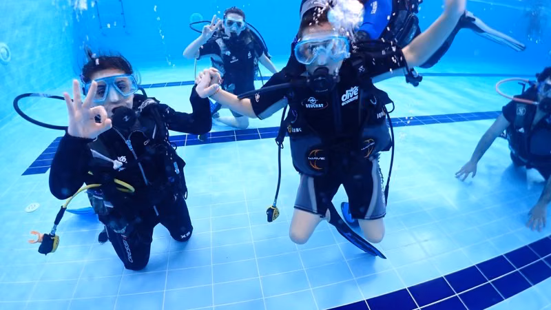 Dive Academy — photo 3