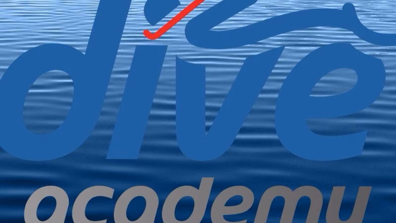Dive Academy — photo 2