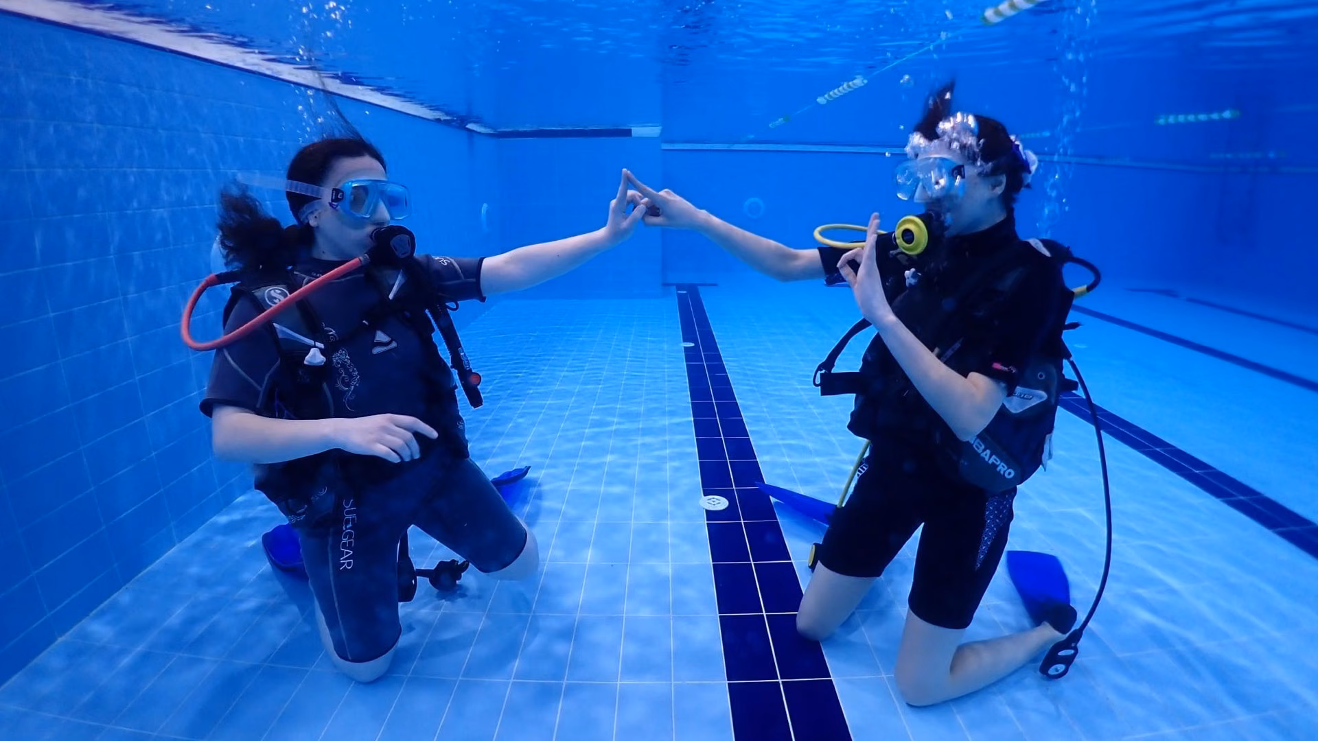Dive Academy — photo 5