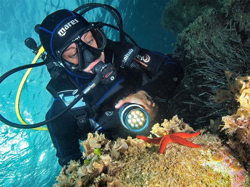 Dive Aquarius — photo 2
