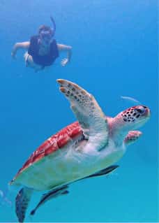Barbados Blue Watersports — photo 2