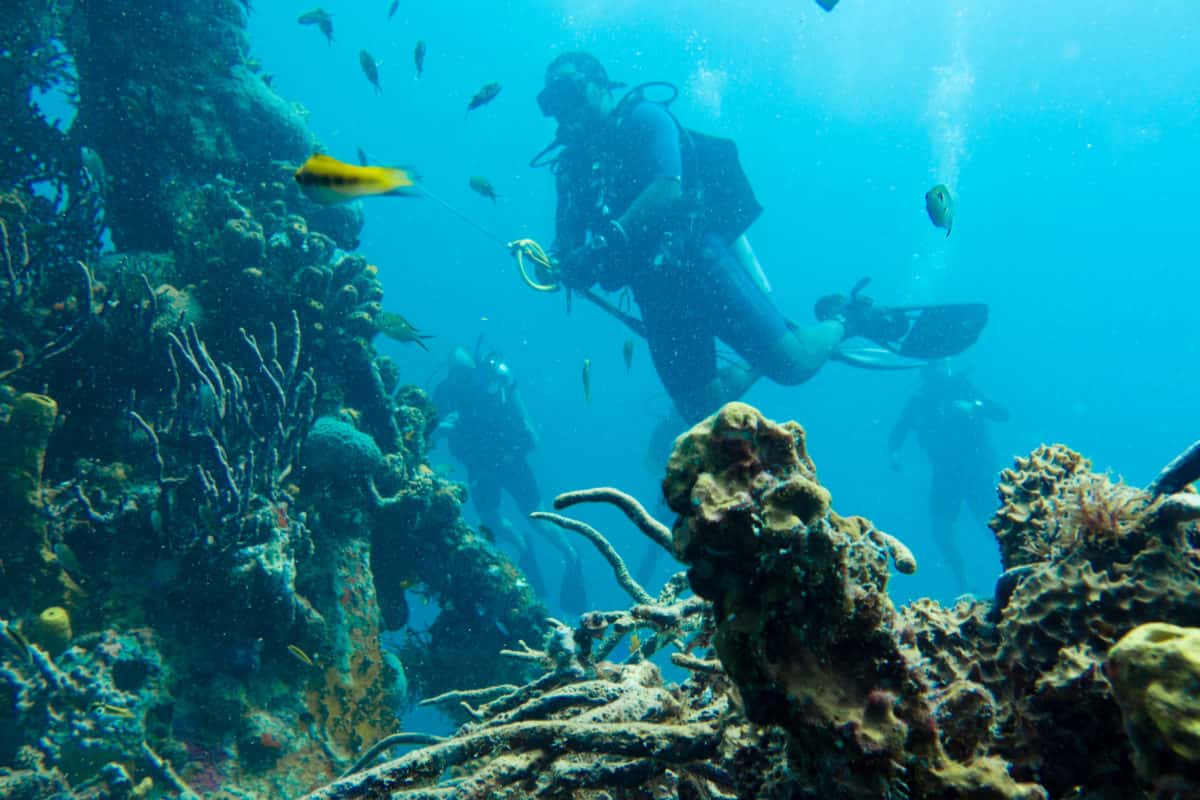 Dive Hightide Watersports — photo 4
