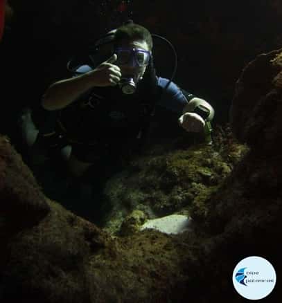 Dive Palancar — photo 3