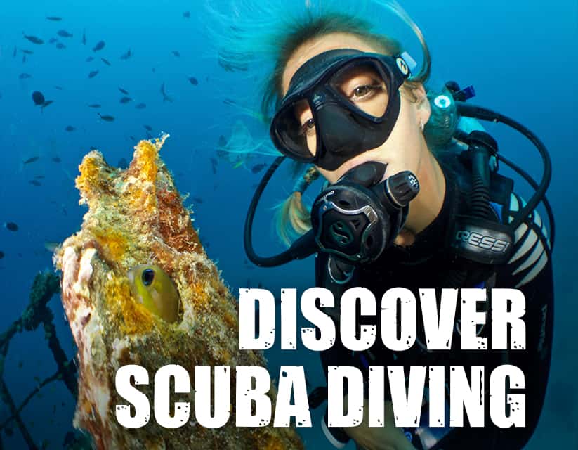 Dive Pro Fuerte