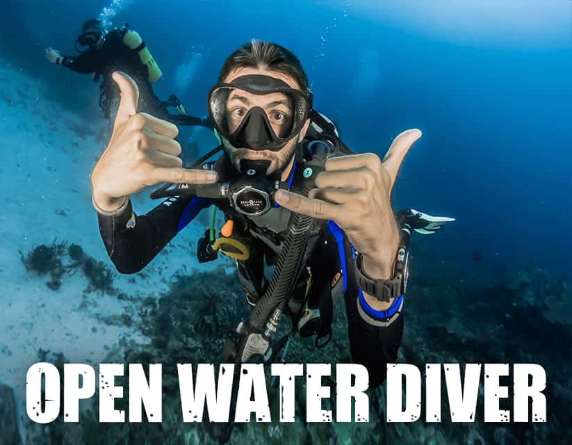 Dive Pro Fuerte — photo 2