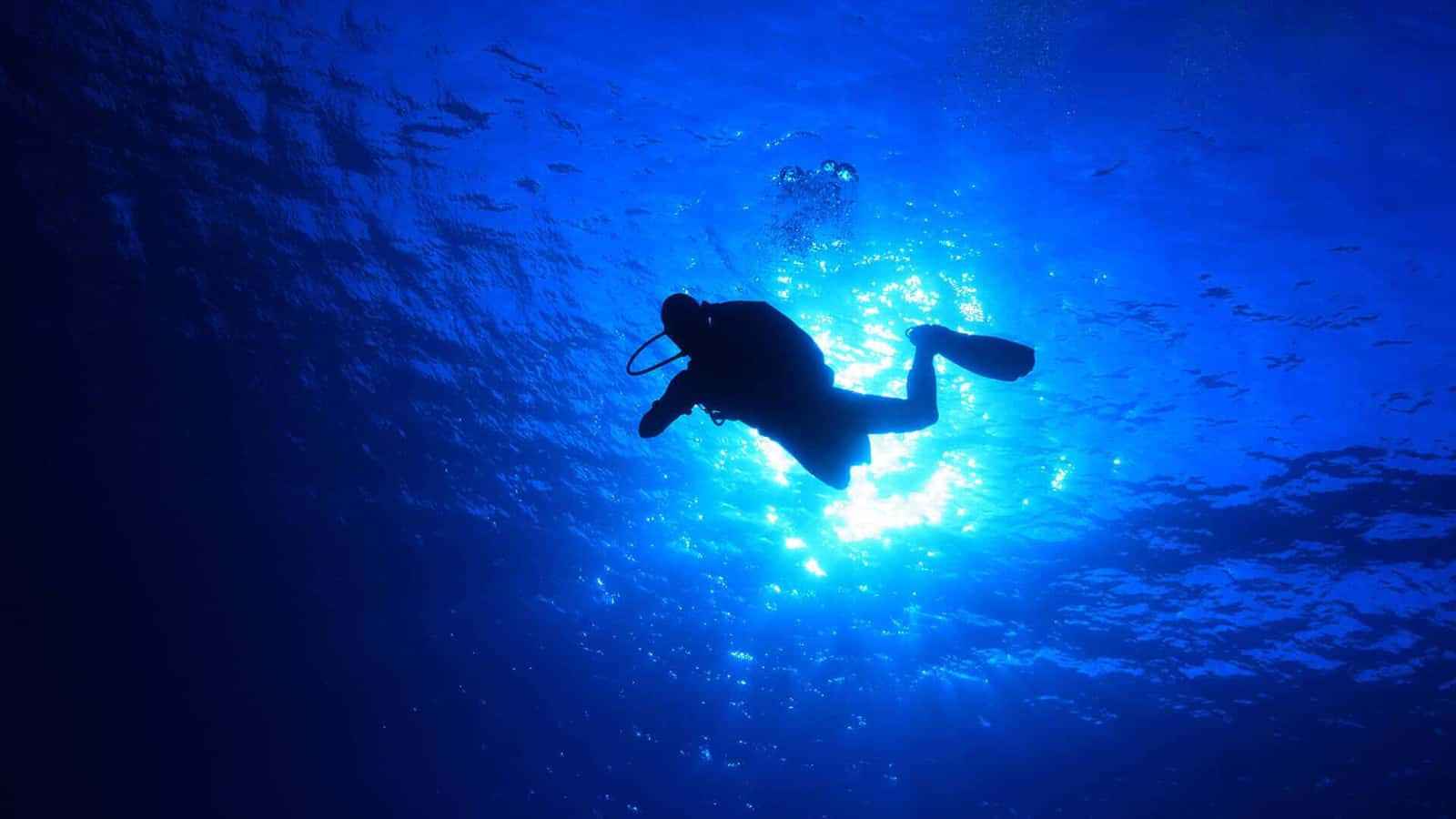 Divers Team