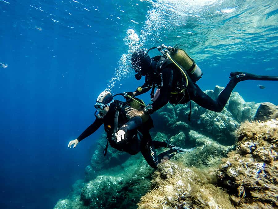 Diving Calvi a Piaghja — photo 3