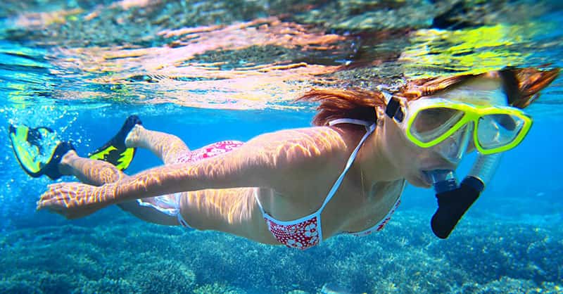 Diving Corsica Sports — photo 3