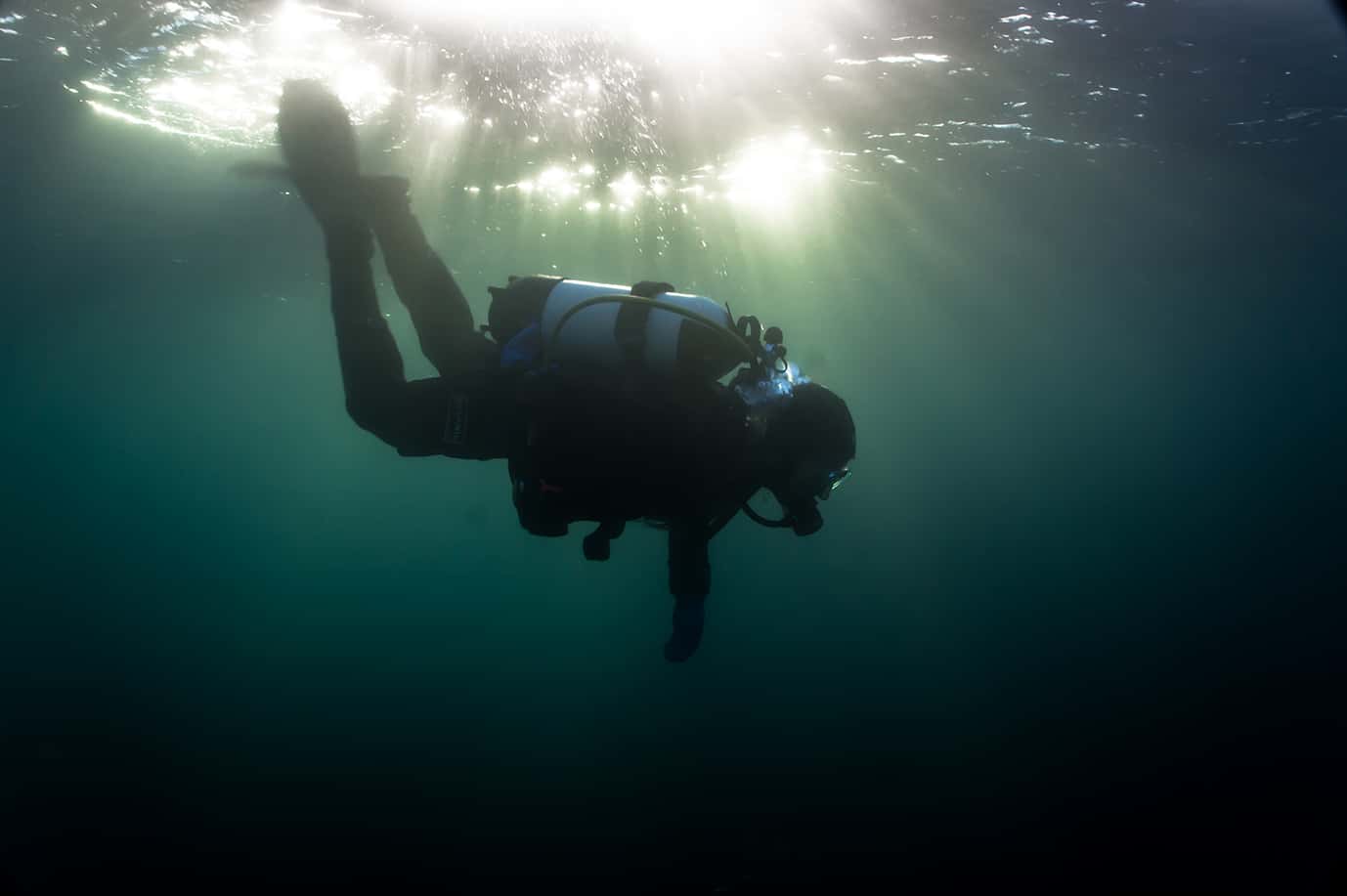 Diving Island — photo 2