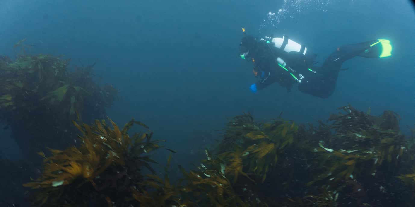 Diving Island — photo 3