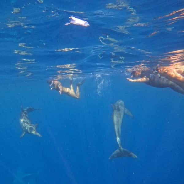 Captain Morgan's Dive Center — photo 3