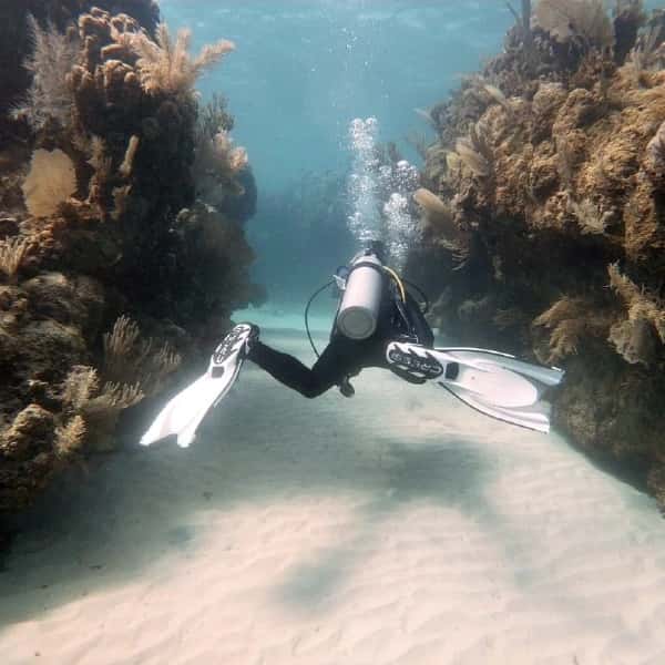 Captain Morgan's Dive Center — photo 2