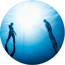Eco Dive Grenada — photo 4