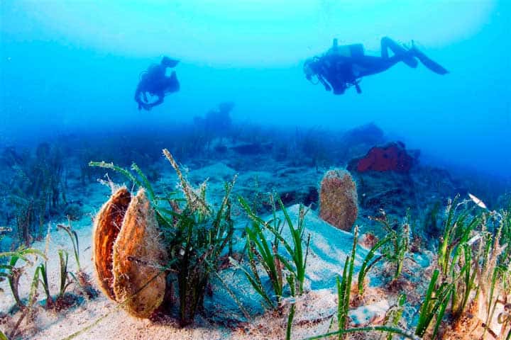Erman Dive Center — photo 4