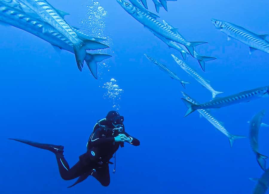 Evasioni Blu Diving