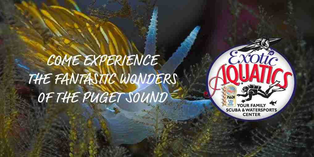 Exotic Aquatics SCUBA & Kayaking