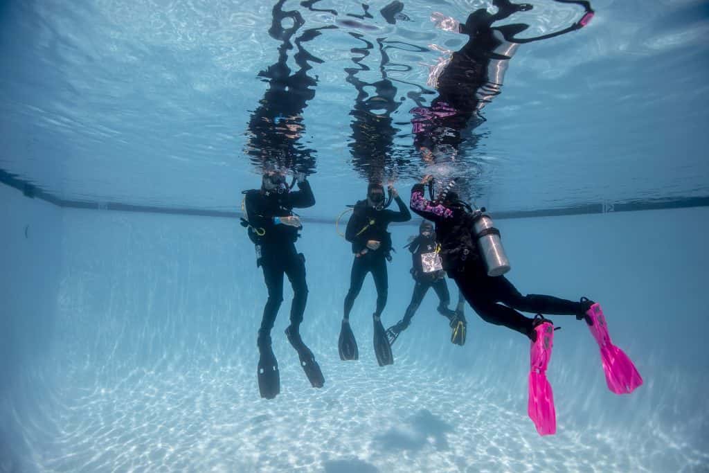 Exotic Aquatics SCUBA & Kayaking — photo 4