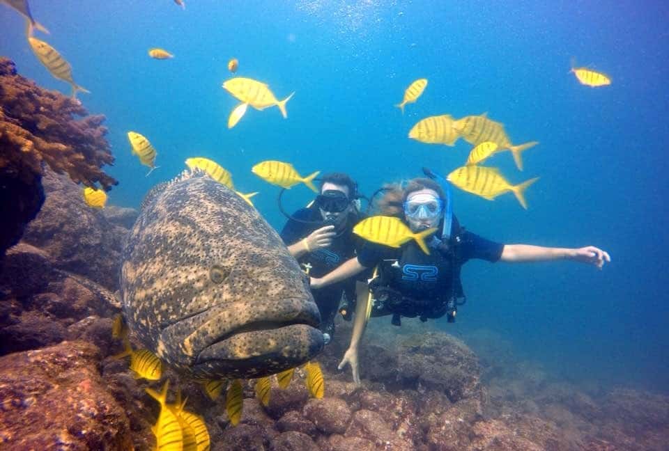 Expedicion Coiba — photo 1