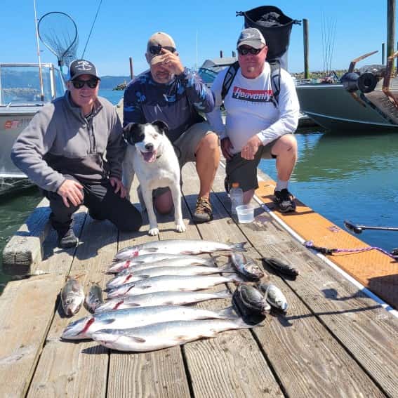 Fast Action Fishing — photo 1