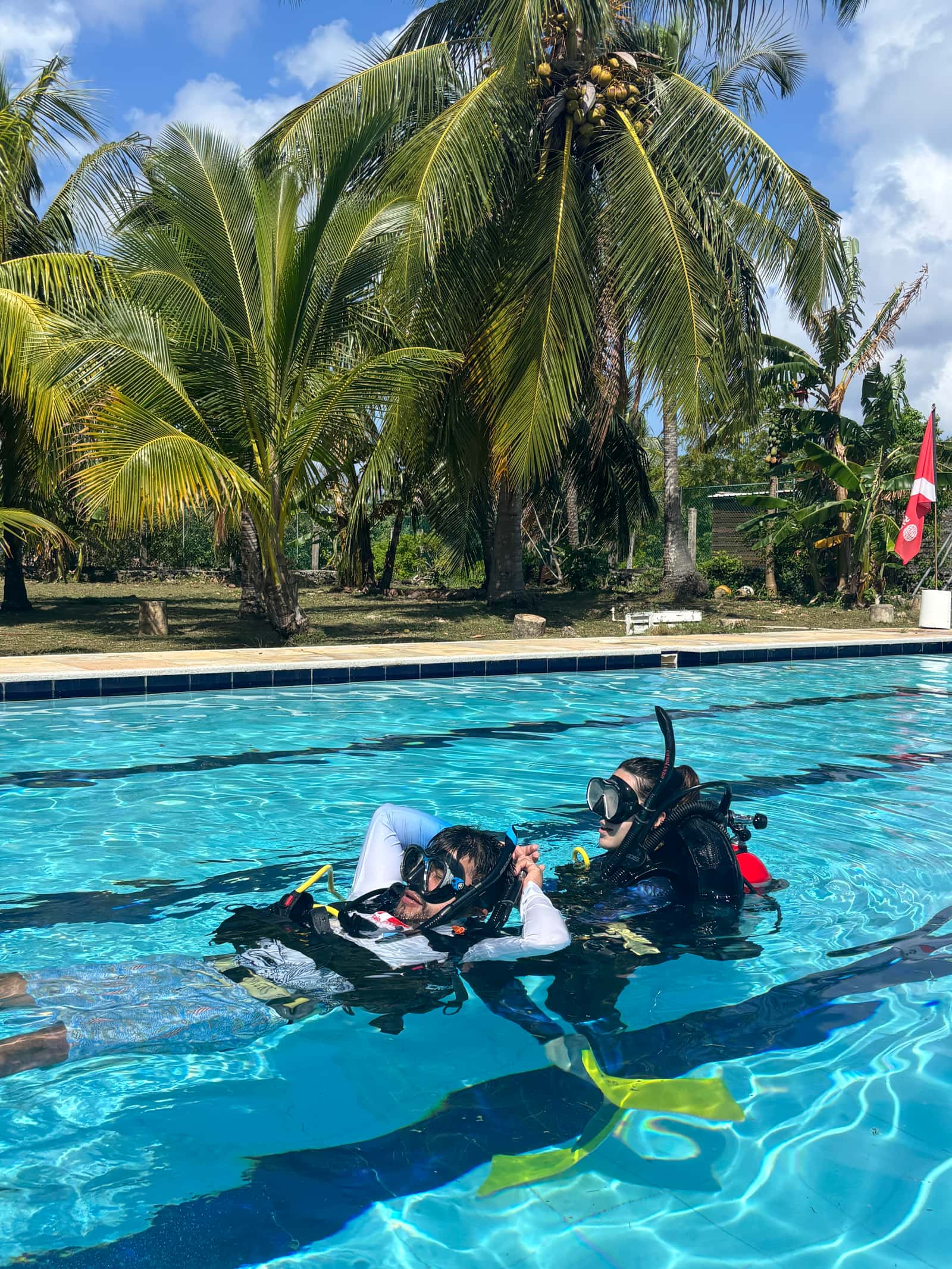 Felo Divers — photo 3