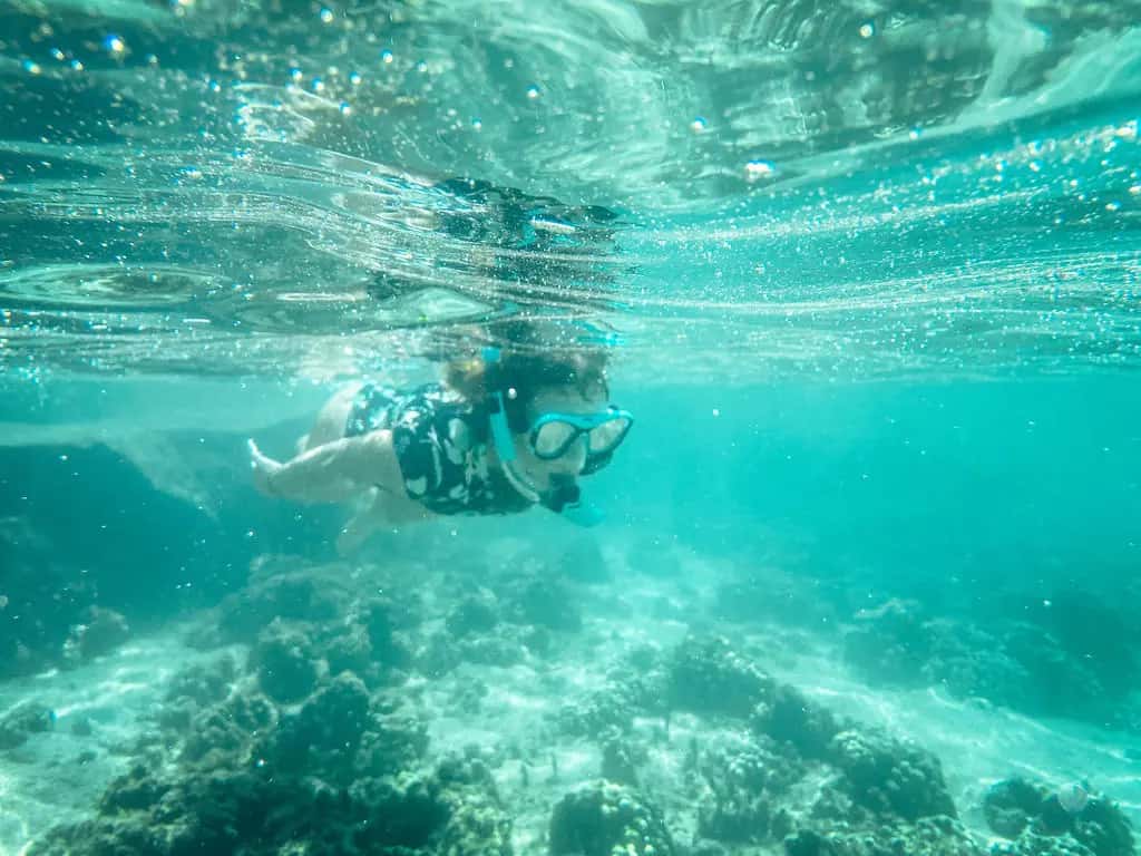 Fun Baja — photo 3