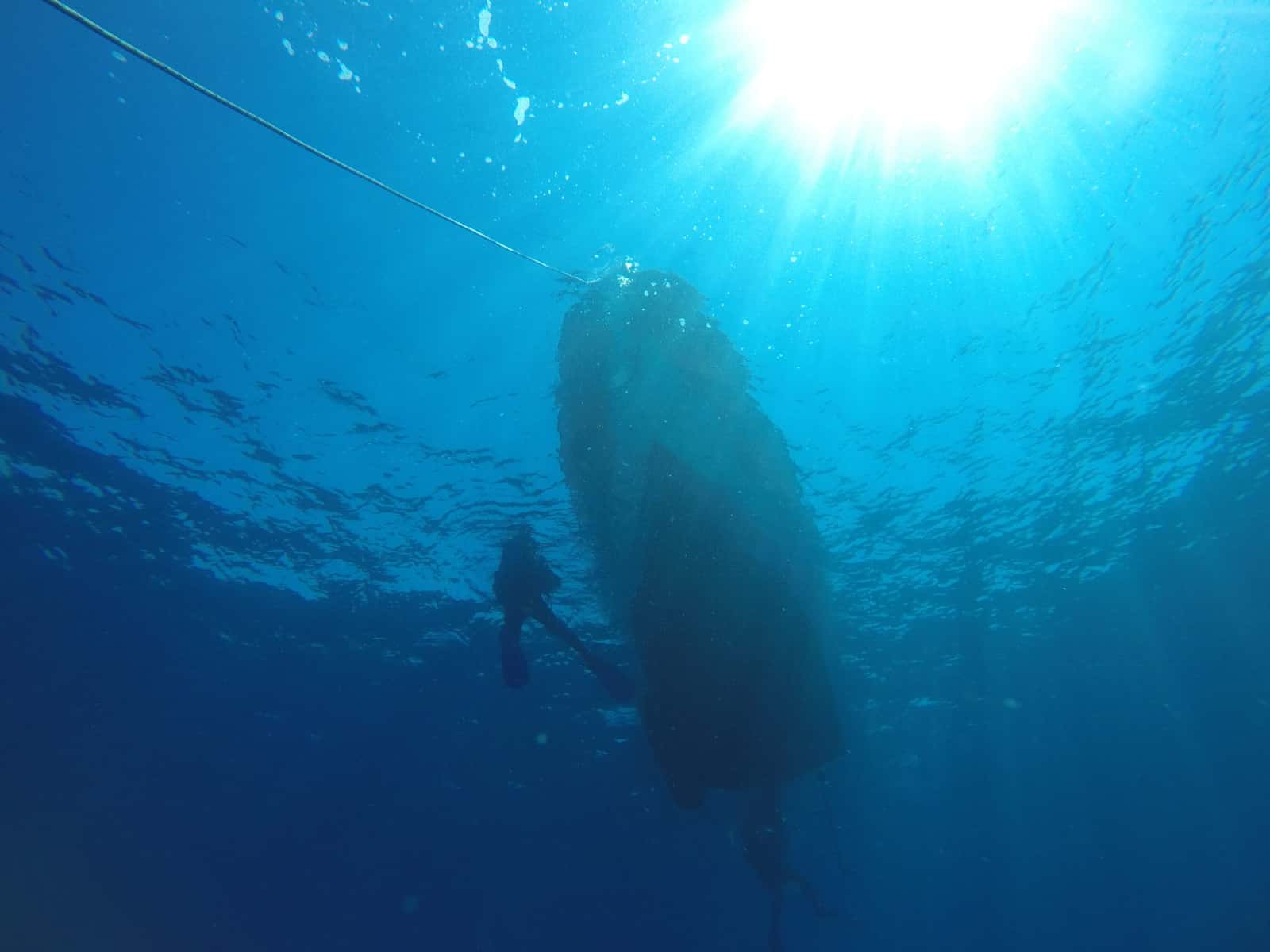 Go Scuba Diving Athens — photo 5