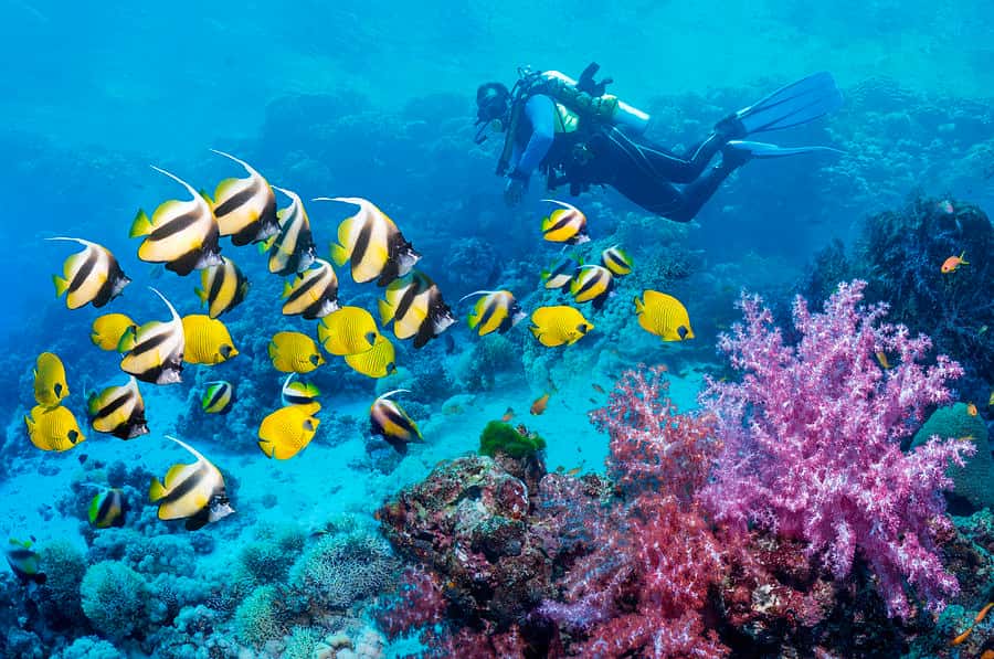 H2O Dive Center