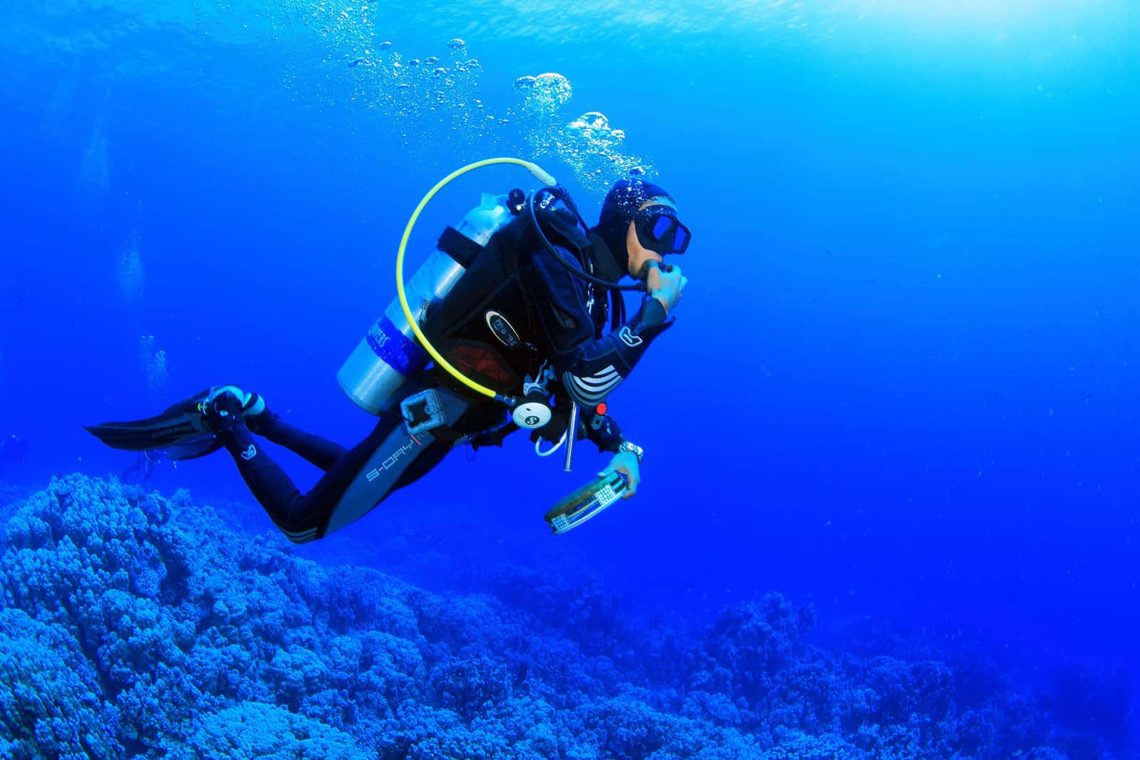 Hippocampus Diving Center