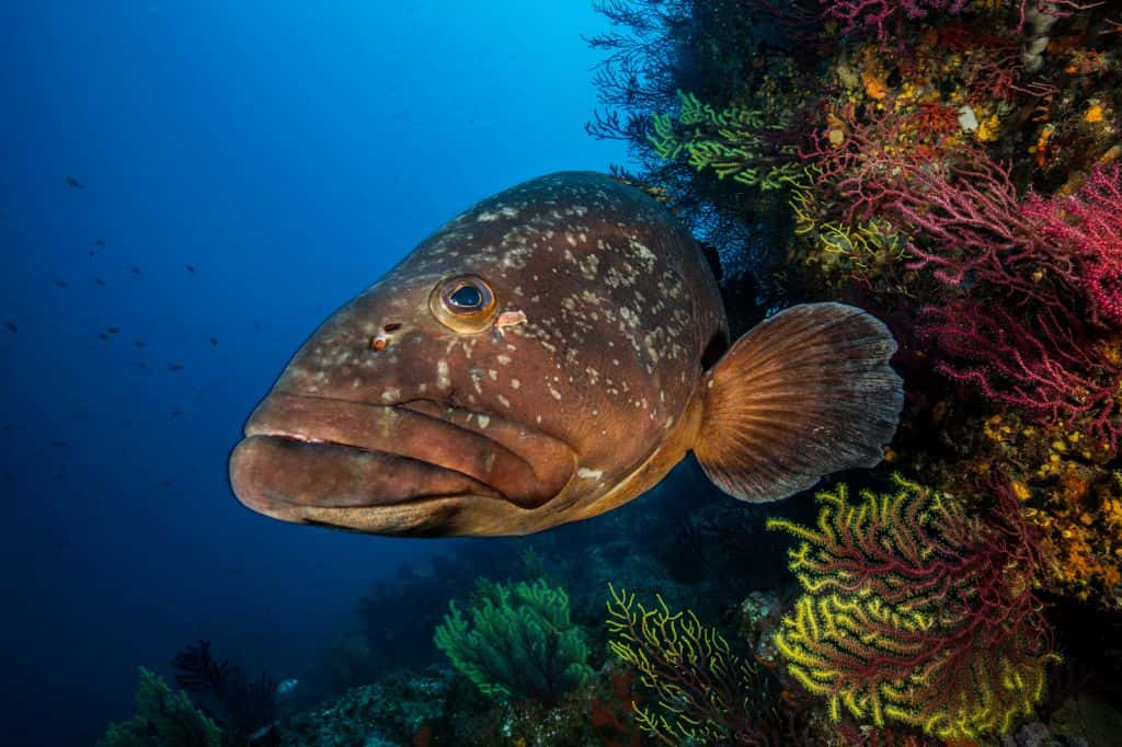 Hotel & Diving Les Illes — photo 3
