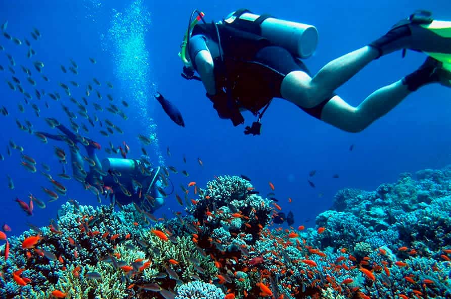 Hy Brazil Dive Resort — photo 2