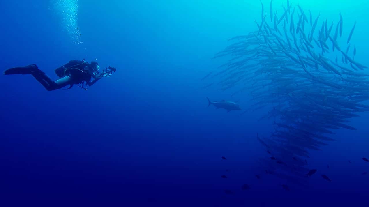 Lustrica Diving — photo 3