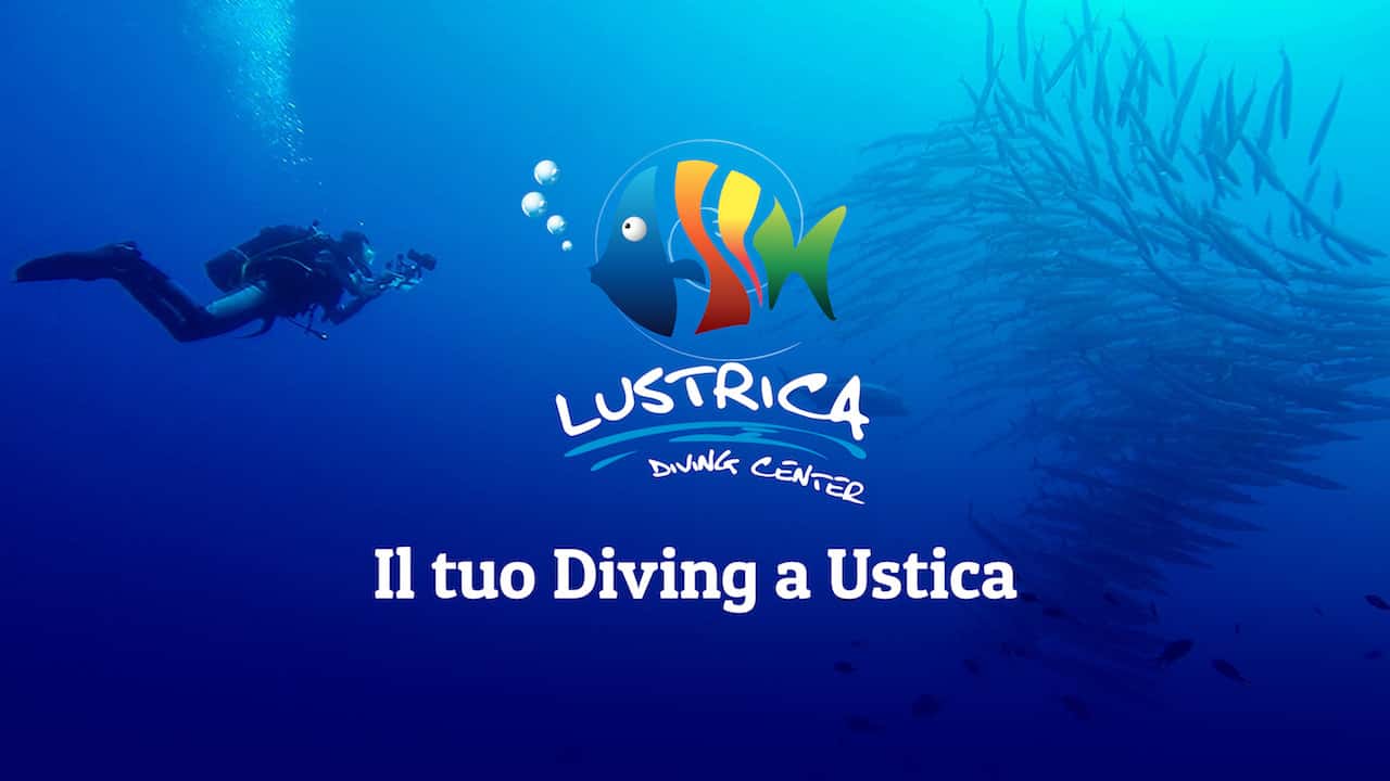 Lustrica Diving