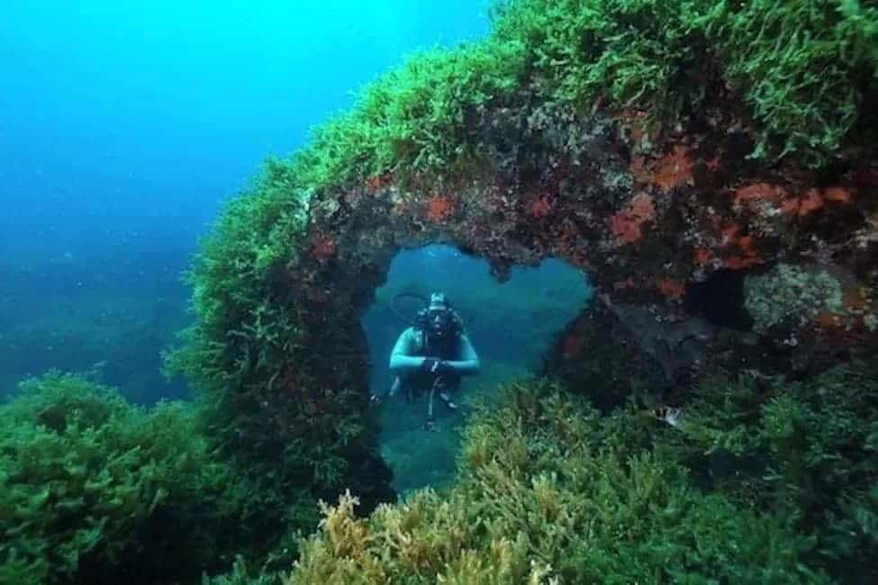 Watercolours Dive Centre — photo 5