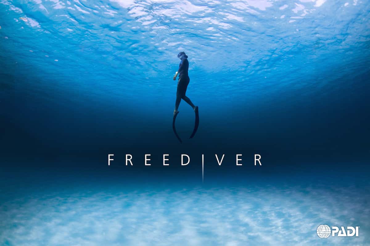 Mandel Diving Center