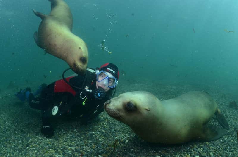 Masterdivers Patagonia — photo 2