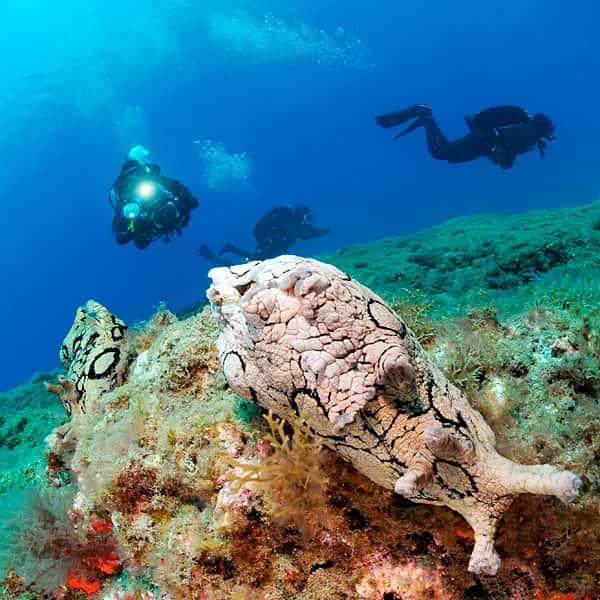 Nautico Dive Academy — photo 5