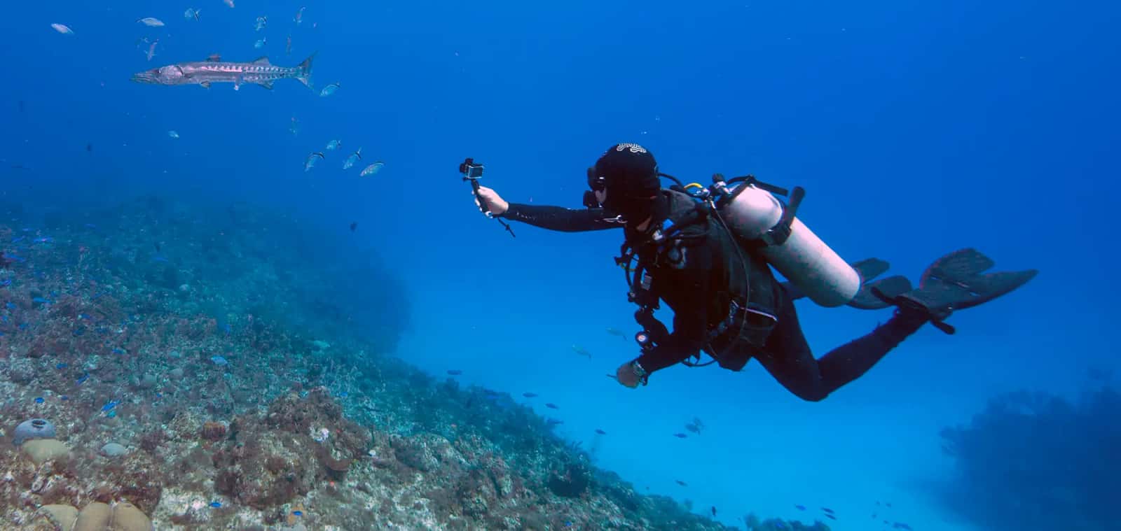 Nice Diving — photo 2