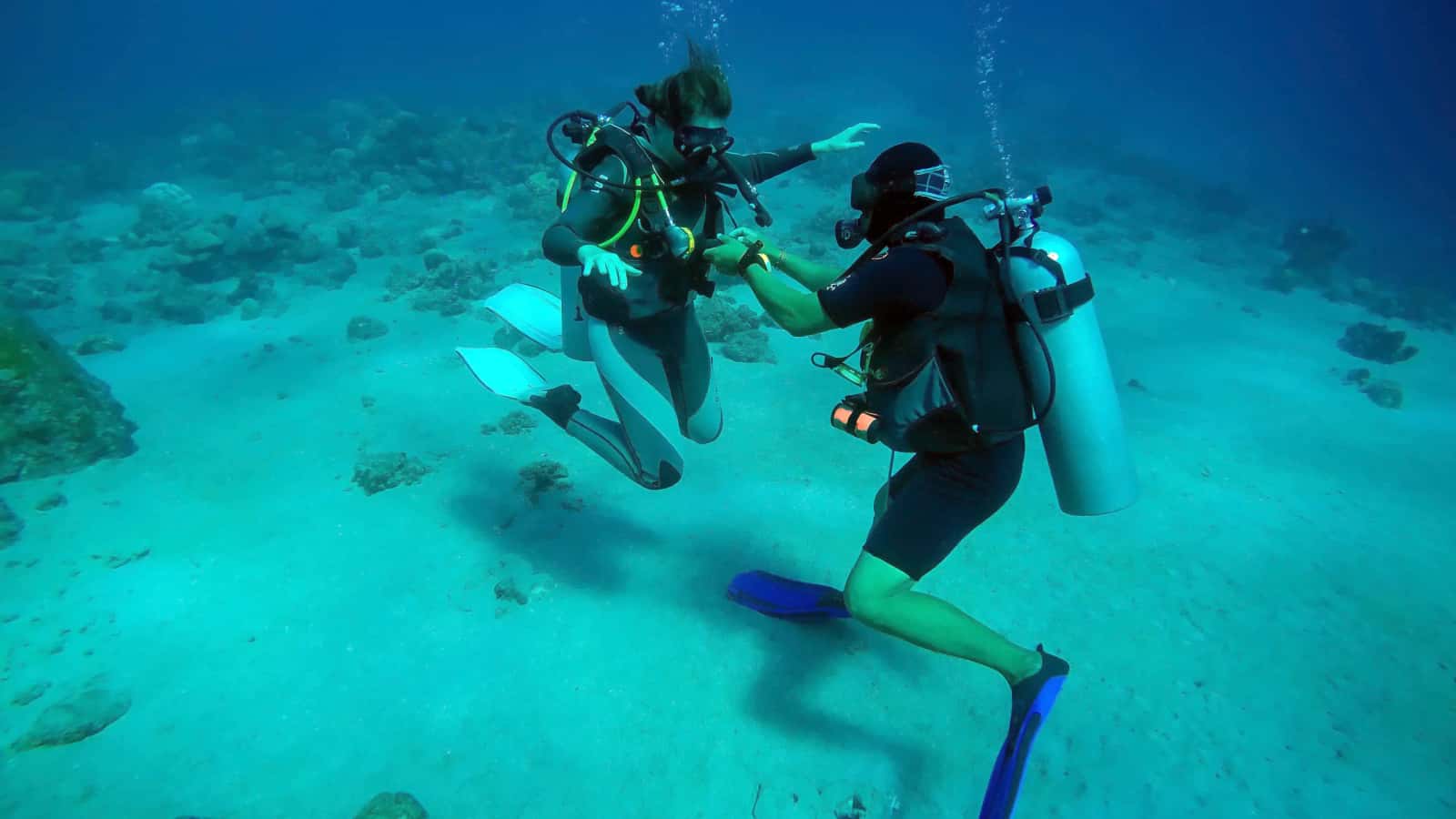 Nice Diving