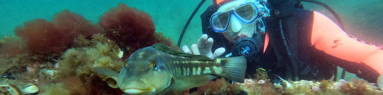 Ocean Divers — photo 2